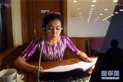 語言橋梁，共商國是——記為兩會(huì)服務(wù)的民族語文翻譯組