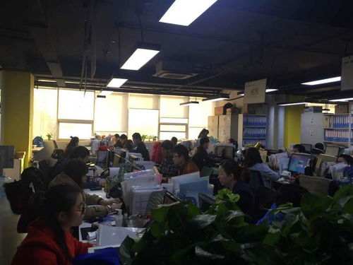 專業(yè)商務(wù)談判口譯，譯銘翻譯 為企業(yè)國際化進(jìn)程注入精準(zhǔn)溝通動(dòng)力