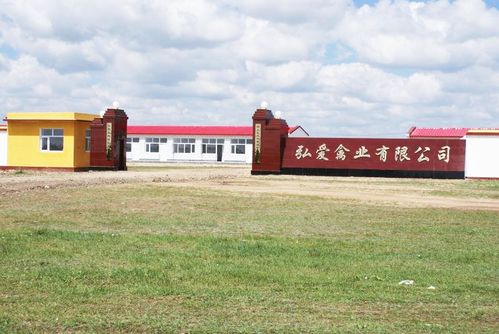 弘愛(ài)集團(tuán) 造血式扶貧與安全生態(tài)有機(jī)農(nóng)產(chǎn)品的創(chuàng)新之路